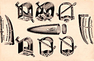 Bayerlein 1913